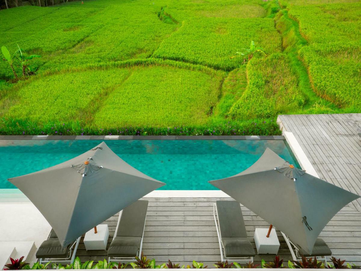 Villa Harta Ubud Zewnętrze zdjęcie